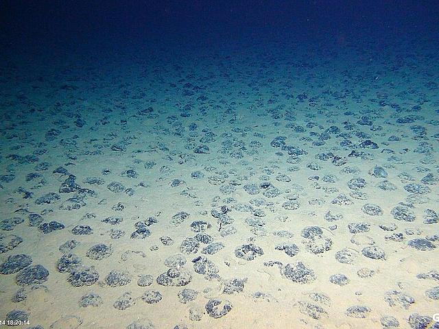 Manganknollen auf dem Meeresboden in der Clarion-Clipperton-Zone, 2015