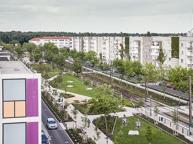 Eine begrünte Straße mit Park in der Mitte, umgeben von Flachdachbauten