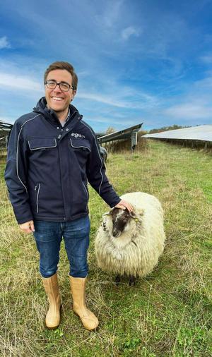 Pascal Lang mit Schaf im Solarpark