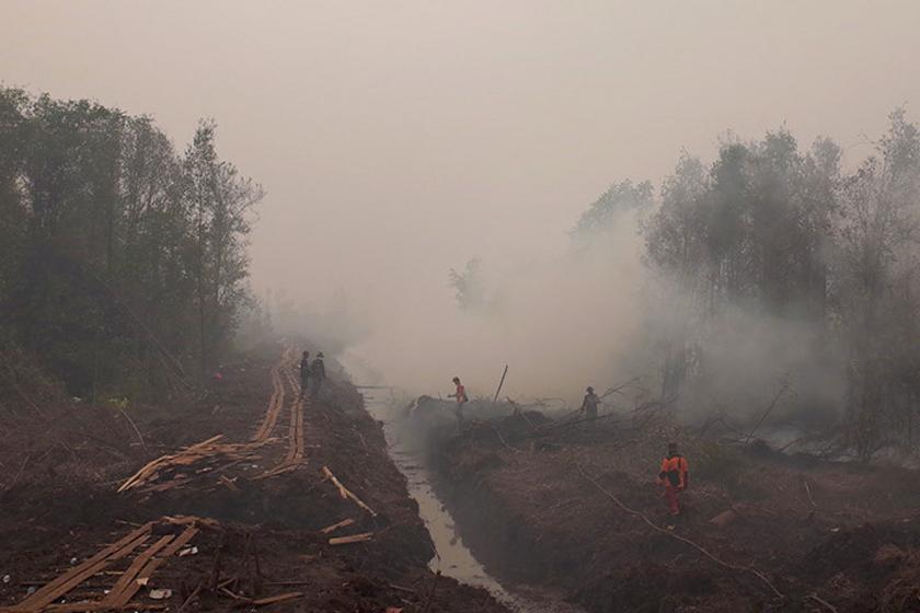 Waldbrände in Indonesien