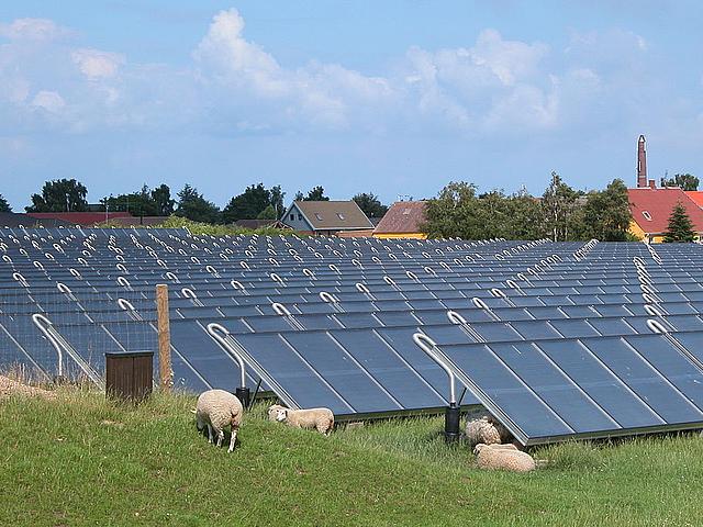 Auch in Dänemark scheint oft genug die Sonne, so dass die Solarenergie wie hier in Marstal auf der Insel Ærø eine wichtige Rolle spielt. Foto: <a href="https://commons.wikimedia.org/wiki/File:Marstal.powerplant.1.jpg" target="_blank">Erik Christensen</