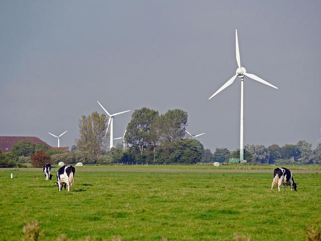 Windräder in Ostfriedland