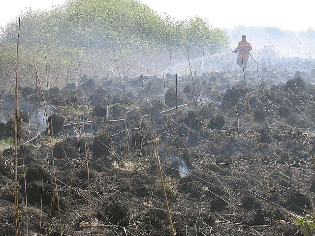 Moorbrand Osterkoog bei Norderstapel im Jahr 2007 