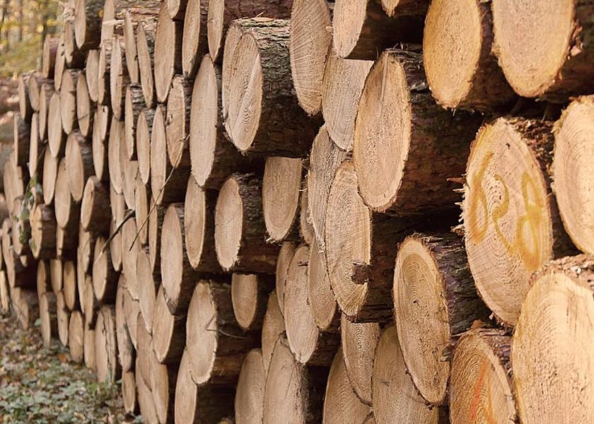 Seit März 2013 gilt die EU-Holzverordnung EUTR. (Foto: www.pixabay.com, public domain)