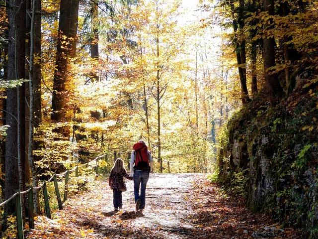 Mutter Mit Kind Herbst Wanderung Wald Suffizienz