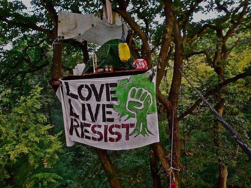 Foto: ein Plakat an einem Baumhaus, mit der Aufschrift: love, live, resist
