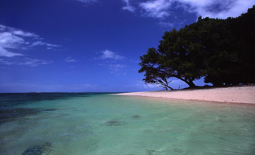 Traumhafter Blick auf die Marshall Islands – Majuro-Laura Beach. Das Wasser könnte bald steigen und der Strand darunter verschwinden. (Foto: © Stefan Lins / Flickr /  CC BY 2.0)