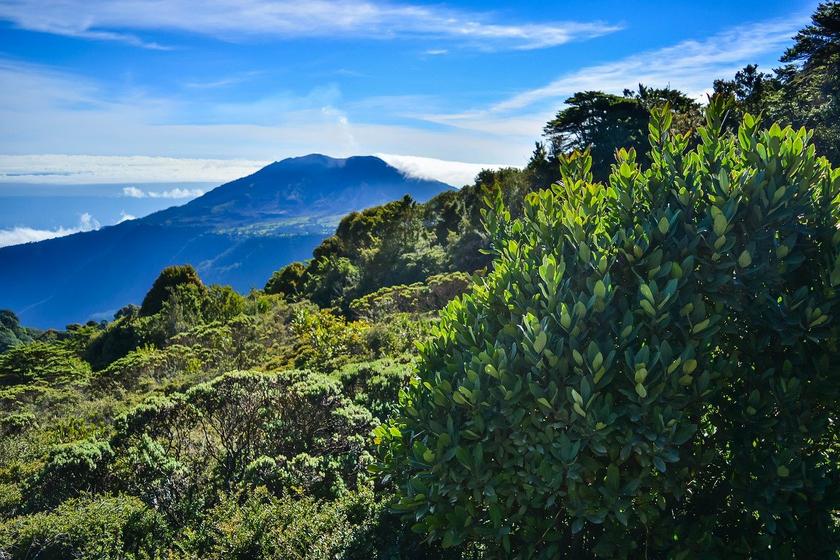 Vulkan und Dschungel in Costa Rica