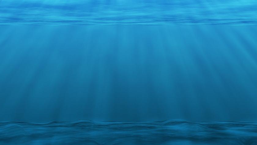 Zu sehen ist das Meer knapp unter der Oberfläche. Plankton schwimmt treibt umher und Sonnenstrahlen durchbrechen das Wasser.