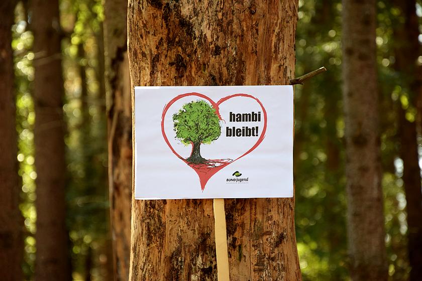 An einem Baumstamm im Hambacher Wald hängt ein Schild mit der Aufschrift „hambi bleibt!“