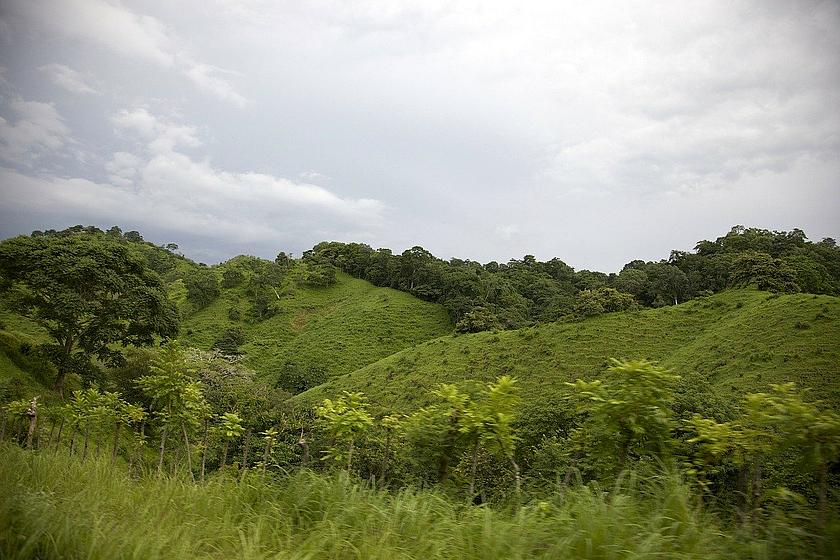 In Panama untersuchten Forscher den Einfluss von höheren Temperaturen auf den Kohlendioxidausstoß des Bodens. 