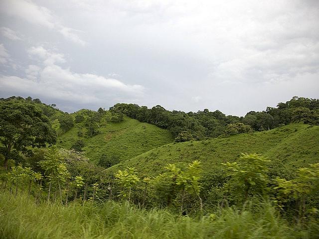In Panama untersuchten Forscher den Einfluss von höheren Temperaturen auf den Kohlendioxidausstoß des Bodens. 