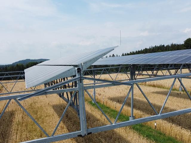Agri-Photovoltaik, Heggelbach, Landwirtschaft, Solarenergie, Baden-Württemberg
