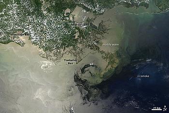 Satellitenbild der Deepwater-Horizon-Ölkatastrophe vom Juli 2010.