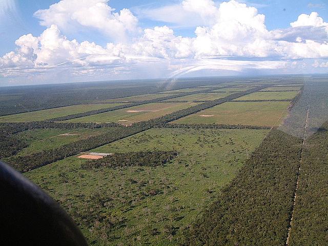 Luftaufnahme von Feldern in Paraguay