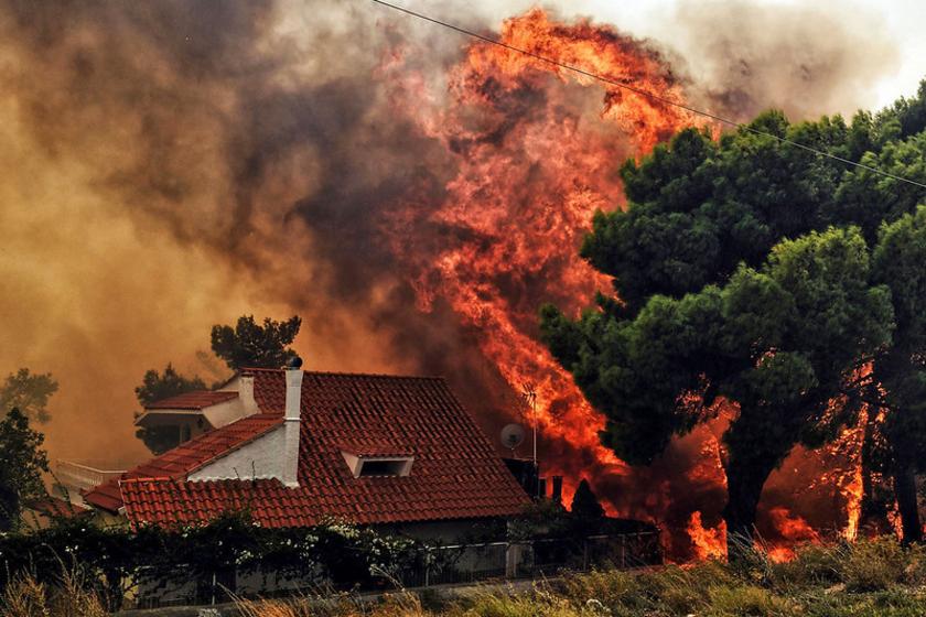 Ein Baum brennt neben einem Haus.