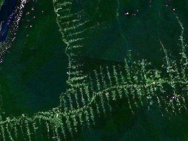 Im Amazonasgebiet wird die Entwaldung und Zerschneidung des Regenwalds deutlich sichtbar. (Foto: <a href="https://en.wikipedia.org/wiki/File:Amazonie_deforestation.jpg" target="_blank">NASA / Wikimedia.org</a>, CC0 Public Domain)