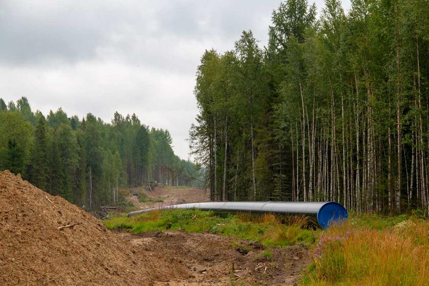 Pipeline im Bau in einem Waldstück
