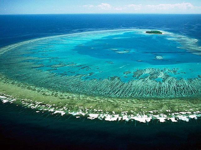 Ökosystem in Gefahr: Australiens Great Barrier Reef soll nun staatliche Hilfe erhalten.