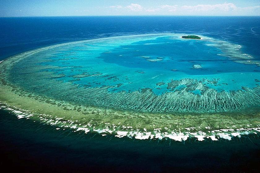Ökosystem in Gefahr: Australiens Great Barrier Reef soll nun staatliche Hilfe erhalten.
