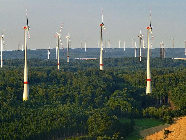 Viele Windräder ragen aus einem Waldgebiet
