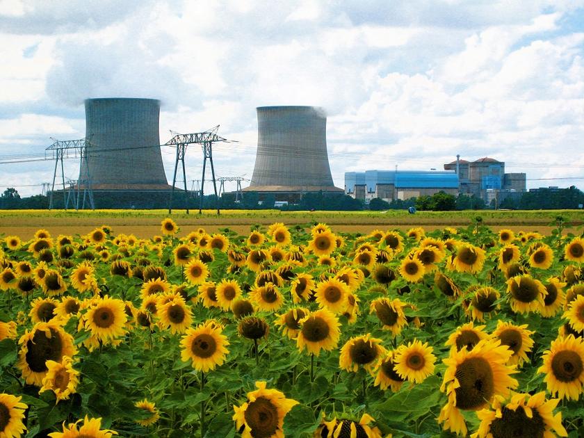 Atomkraftwerk in Frankreich im Vordergrund Sonnenblumen
