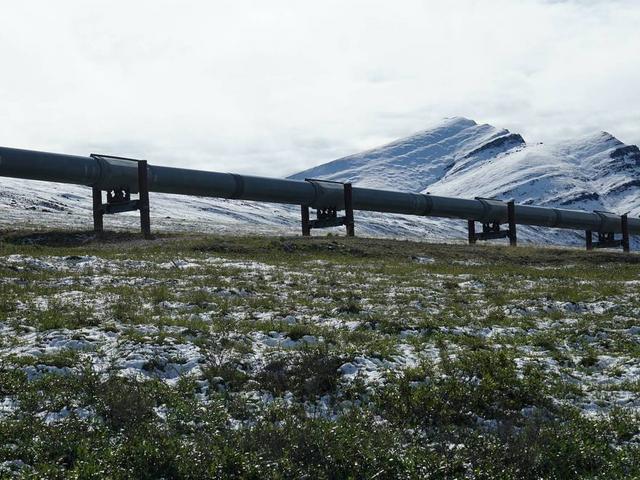 Eine Ölpipeline läuft durch die Wildnis von Alaska.