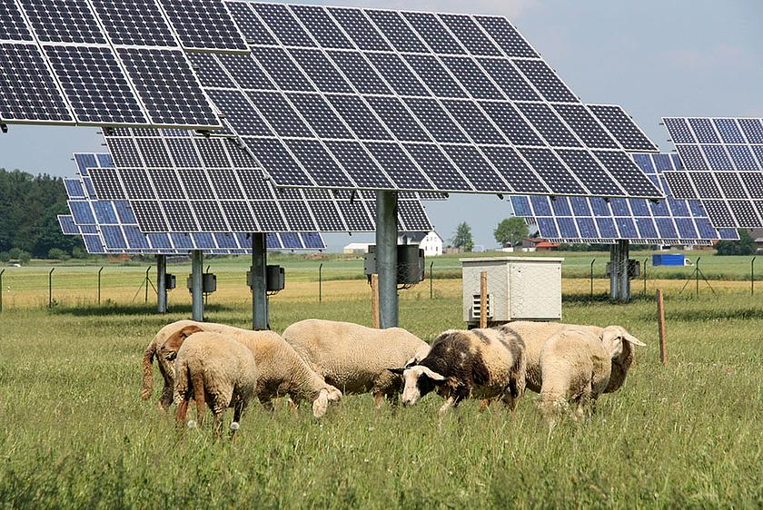 Auch bei der fünften Ausschreibungsrunde für Photovoltaik-Freiflächenanlagen dürften kaum Bürgerenergiegesellschaften beteiligt sein. (Foto: GrüneFraktionBayern, CC BY 2.0, https://www.flickr.com/photos/38260942@N02/5929894782)