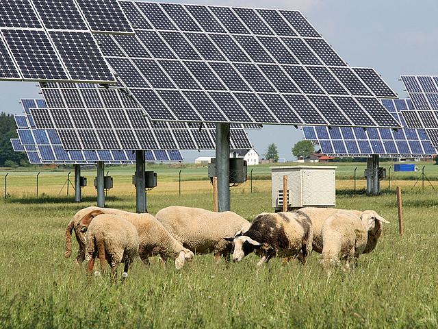 Auch bei der fünften Ausschreibungsrunde für Photovoltaik-Freiflächenanlagen dürften kaum Bürgerenergiegesellschaften beteiligt sein. (Foto: GrüneFraktionBayern, CC BY 2.0, https://www.flickr.com/photos/38260942@N02/5929894782)