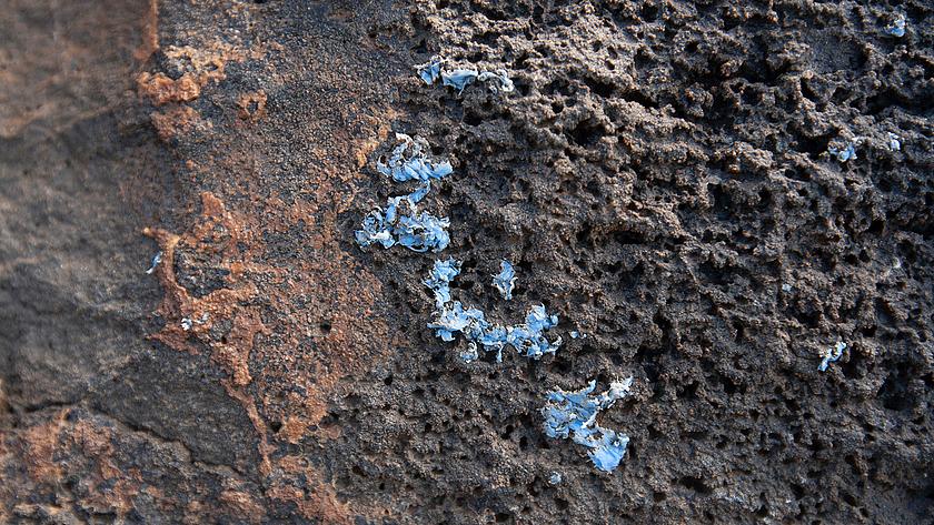 Weiße und blaue Plastikruste auf Felsgestein an der Küste Madeiras 