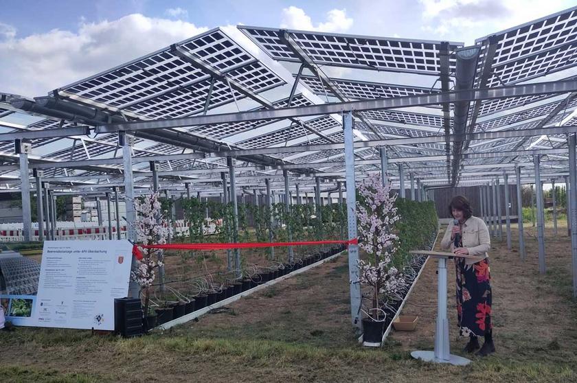 Transprente Solarmodule, darunter Pflanzen, ein Frau am Rednerpult