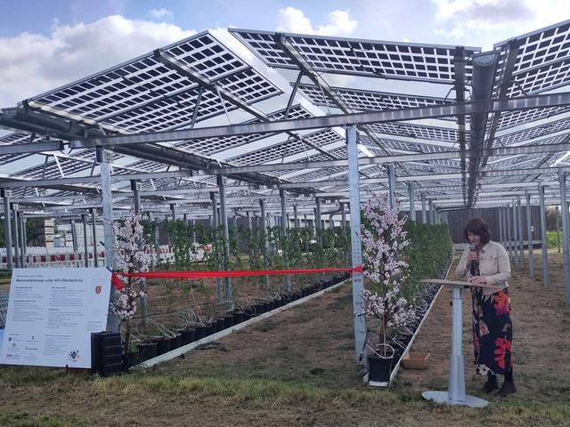 Transprente Solarmodule, darunter Pflanzen, ein Frau am Rednerpult