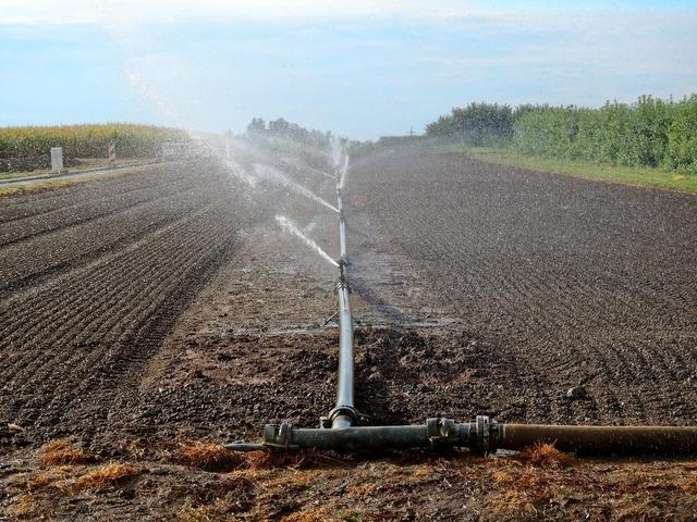 Über Leitungen spritzt Wasser auf ein braunes Feld