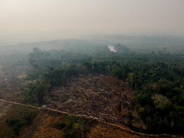 Abgeholzte Waldfläche im Amazonasgebiet