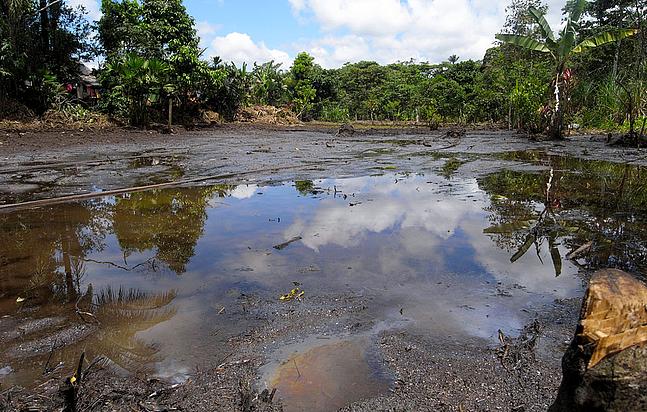 Das Gebiet mit der höchsten Artenvielfalt der Erde ist in Gefahr: Im Yasuní-Nationalpark wird bereits nach Öl gebohrt, die Förderung soll weiter ausgebaut werden. Nicht nur Tiere und Pflanzen sind in Gefahr, auch isoliert lebende indigene Völker kön