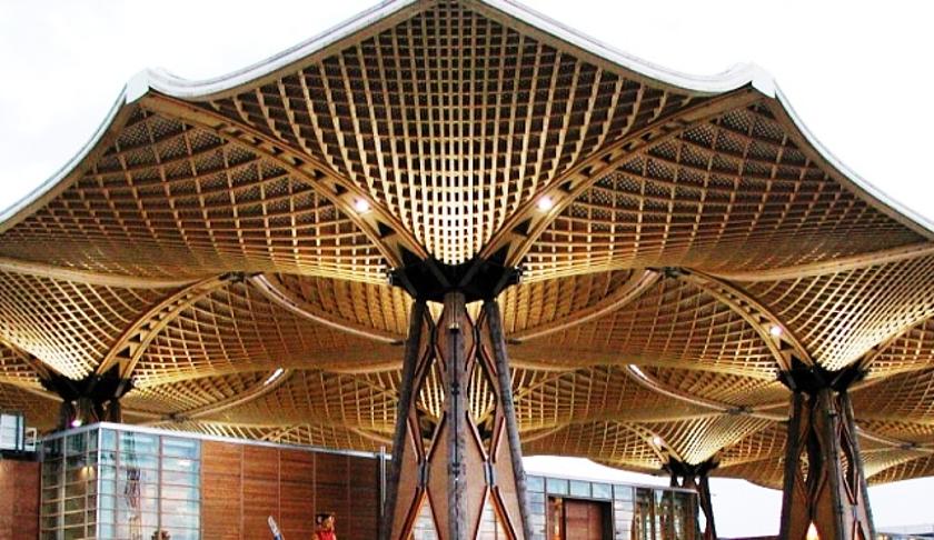Baumstämme von Weißtannen aus Gersbach stützen auf der Expo 2000 das größte freitragende Holzdach der Welt.