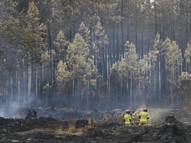 Menschen in gelber Feuerwehruniform stehen in einem Wald in Rauchschwaden