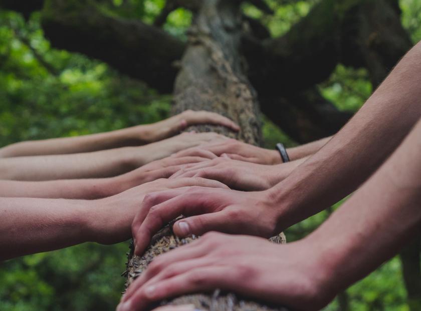 Viele Hände stützen sich auf einen Baumstamm