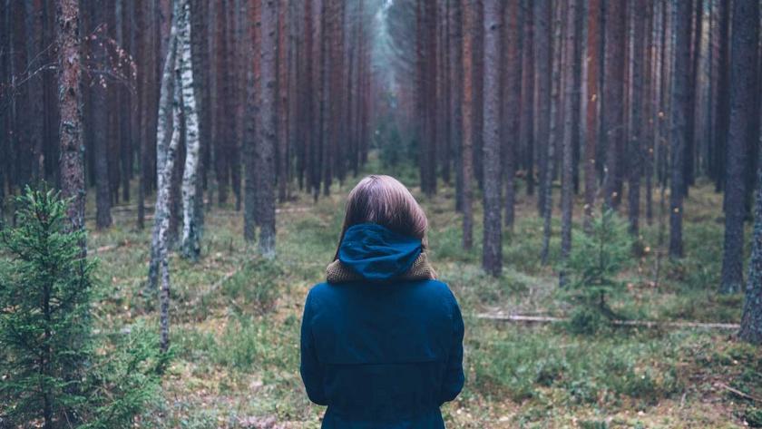 Frau blickt in Monokultur-Wald