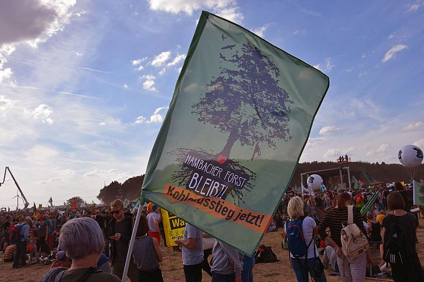 50.000 Menschen kamen zur Demonstration am Hambacher Wald Anfang Oktober – ein großer Erfolg, den die Organisatoren am Samstag gerne wiederholen würden. 