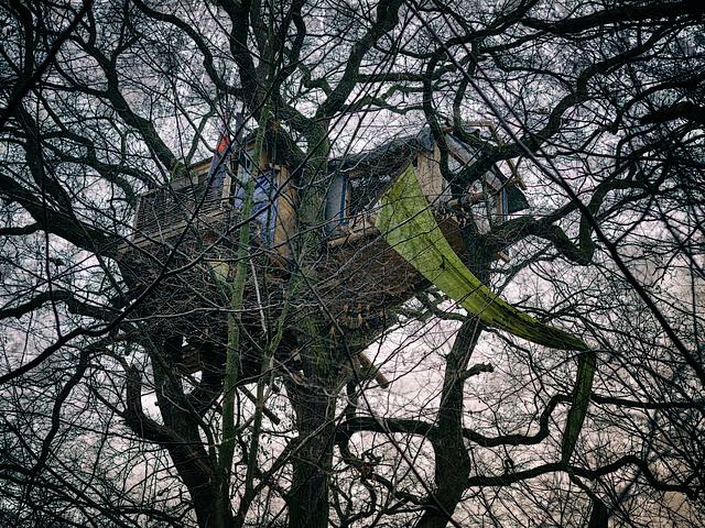 Foto: Bild eines Baumhauses im Hambacher Forst