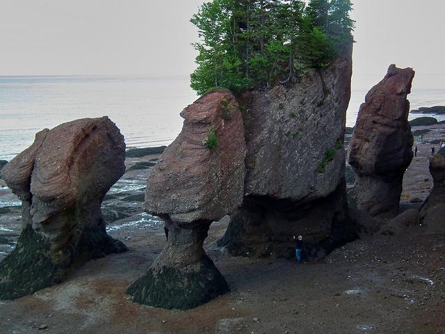 Küste Bay of Fundy in Kanada