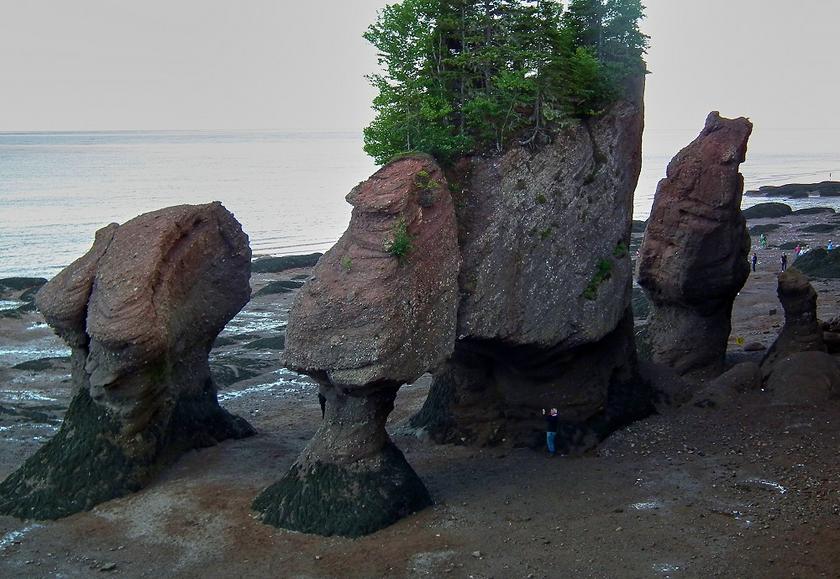 Küste Bay of Fundy in Kanada
