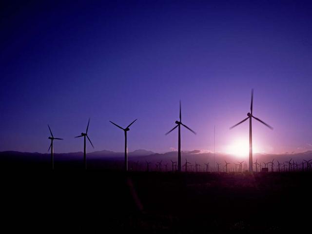 großer Windpark im Sonnenaufgang
