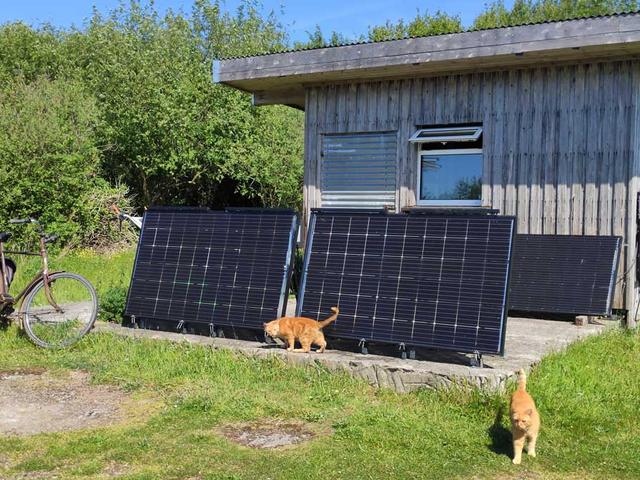 Vier Solarmodule aufgeständert vor einem Gartenhaus, im Vordergrund zwei Katzen