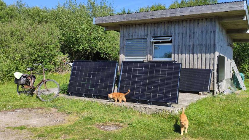 Vier Solarmodule aufgeständert vor einem Gartenhaus, im Vordergrund zwei Katzen