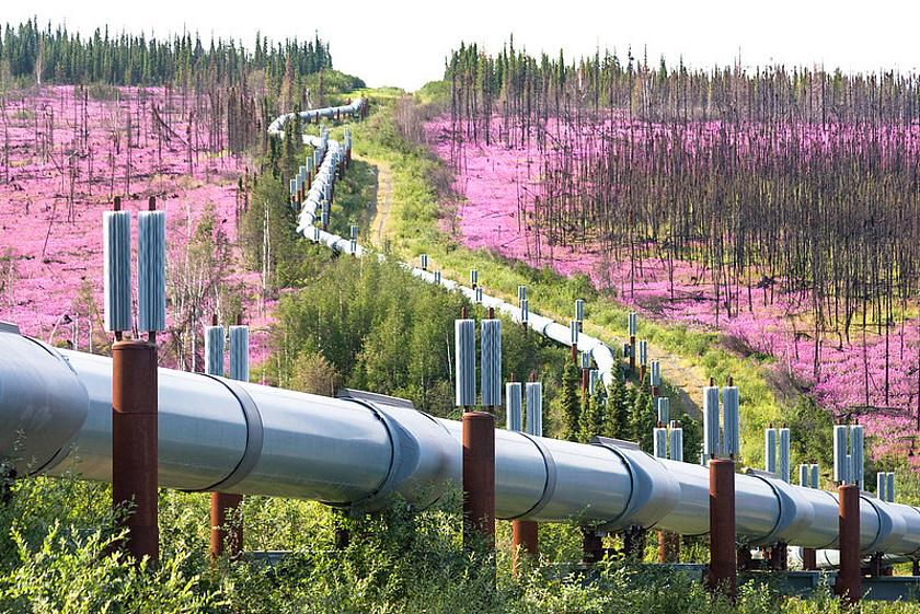 Trans-Alaska-Öl-Pipeline durch zerstörten Wald