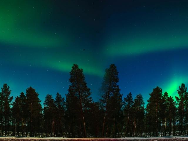 Polarlichter über Wald in Finnland