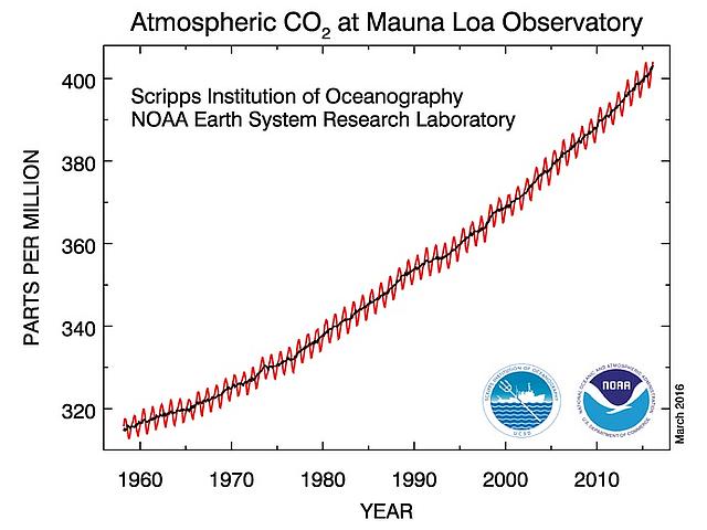 Die Kurve zeigt den Anstieg der Kohlenstoffdioxid-Konzentration in der Luft an der Mauna-Loa-Messstation auf Hawaii. Vor allem in den letzten Dekaden wird ihr Verlauf immer steiler. (Bild: © NOAA)