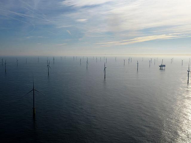 „Meerwind Süd | Ost“ ist ein großer Offshore-Windpark nahe Helgoland. (Bild: © WindMW)